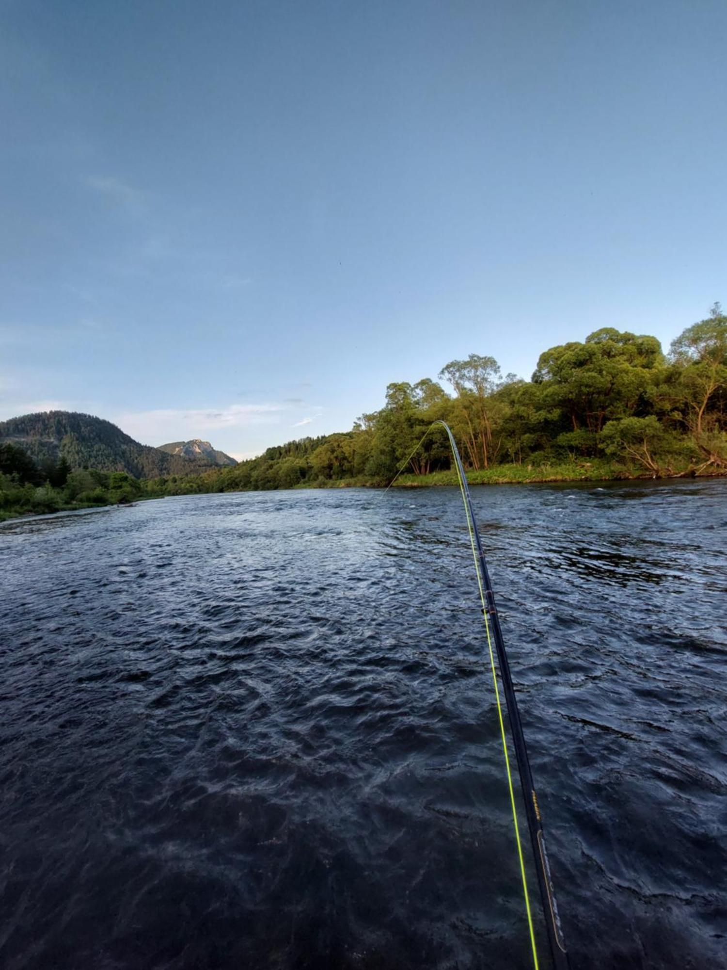 Отель Base Camp Pieniny Niedzica Экстерьер фото