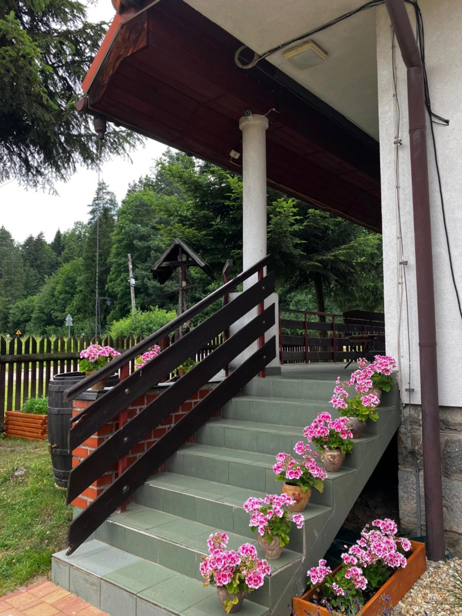 Отель Base Camp Pieniny Niedzica Экстерьер фото